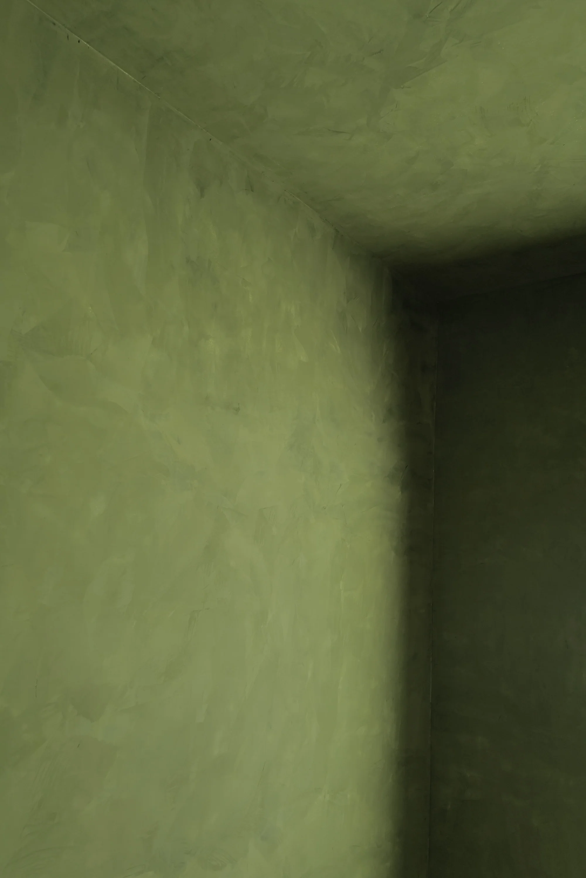 Ponderosa - Image 5